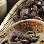 保存性健康な乾燥した椎茸きのこ1kgの滑らかな表面の2年の