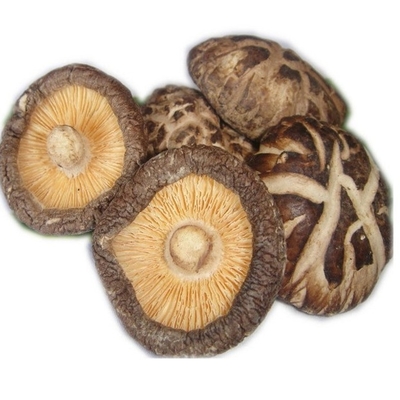 HACCP 1kg 3kgのよい好みの乾燥した椎茸きのこの日本語