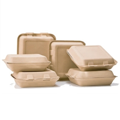Ecoの食糧サービングは生物分解性1000mlテークアウトの食品容器に用具を使う